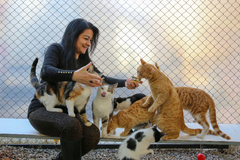 recovering animal hoarder