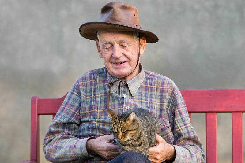 A veteran with PTSD nursing a cat on his lap.   This photo shows the important role that pets play in the recovery of PTSD.