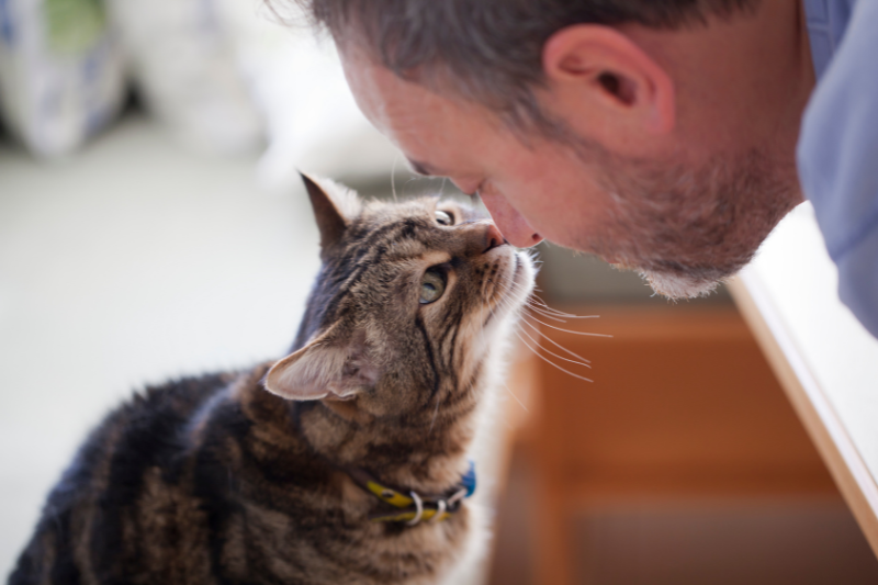 A man with PTSD leaning into a cat's face to touch noses. This photo shows the important role that pets play in the recovery of PTSD