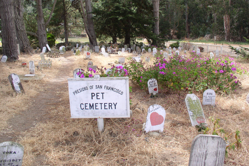 pet cemetary, pet loss, pet death, pet burial, petcloud, pet funeral, pet memorial