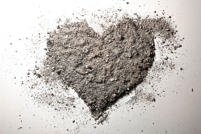 pet ashes, pet loss, pet death, pet cremation, pet funeral, pet memorial, petcloud