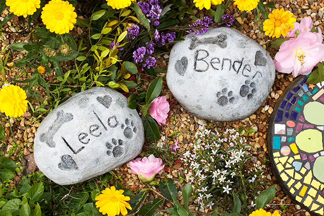 pet memorial, petcloud