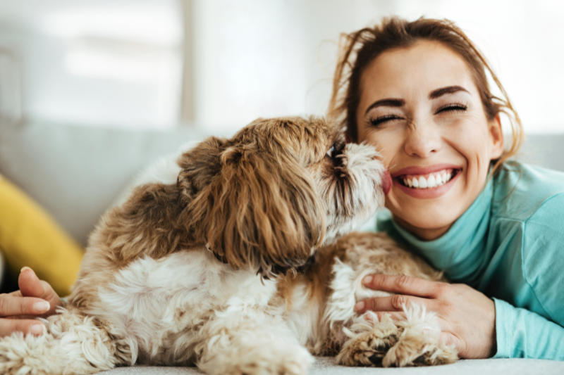 A smiling woman lies on a couch as a fluffy dog with brown and white fur licks her face. They both look happy and comfortable. The background is softly blurred, focusing attention on the joyful interaction between the woman and her pet, showcasing the heartwarming potential of AI in the pet industry.