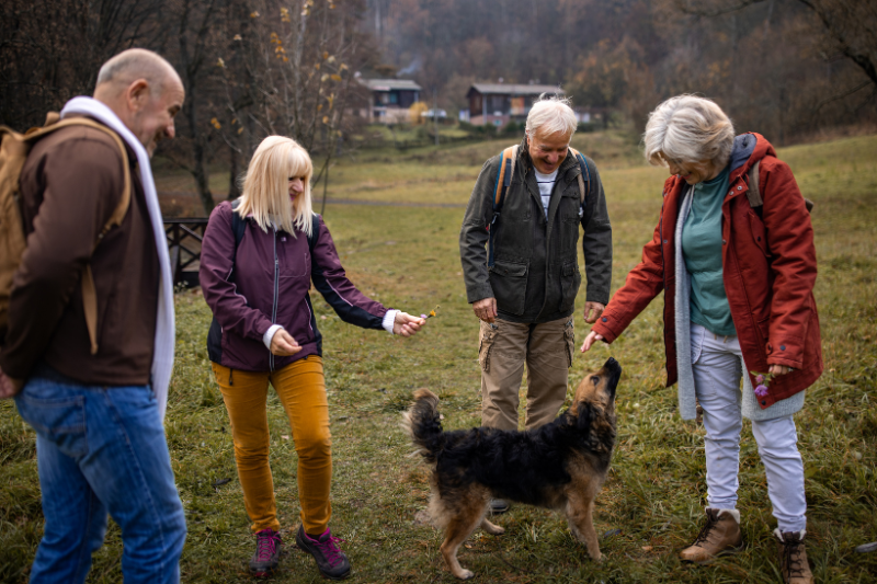 How to Meet New People with Dogs and petcloud