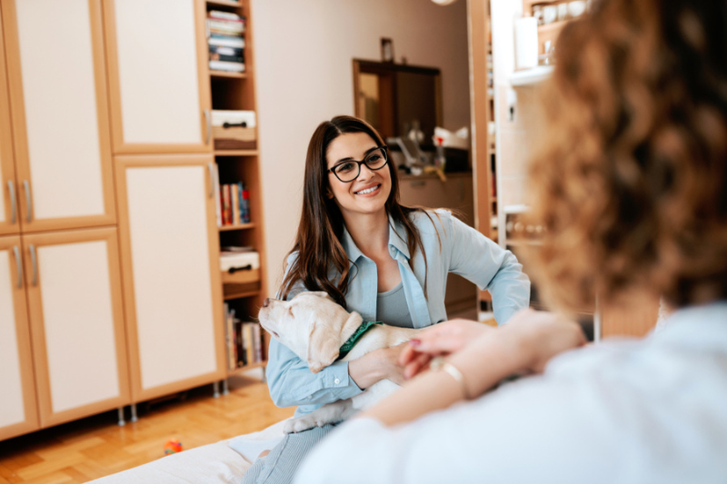 How to Meet New People with Dogs and petcloud