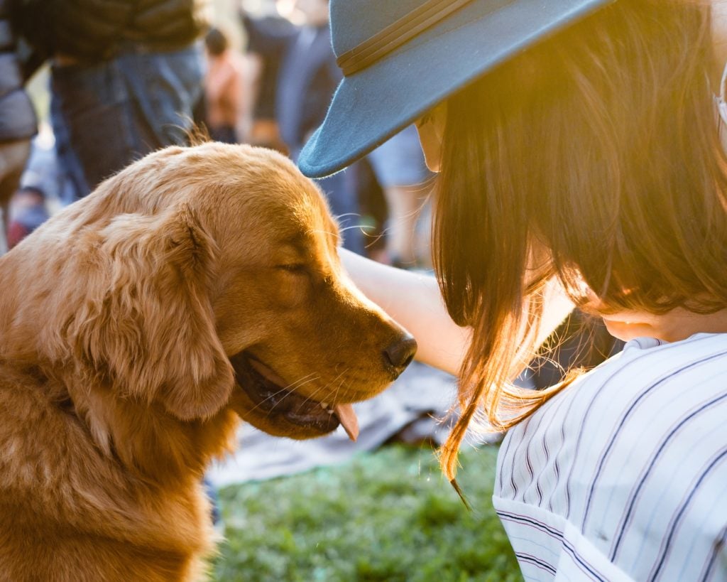 How to Meet New People with Dogs and petcloud