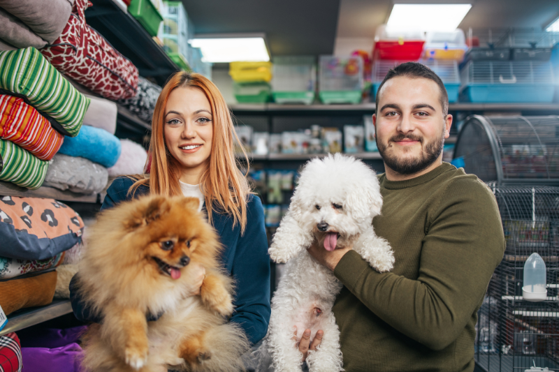 How to Meet New People with Dogs and petcloud