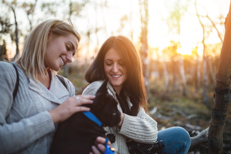 How to Meet New People with Dogs and petcloud