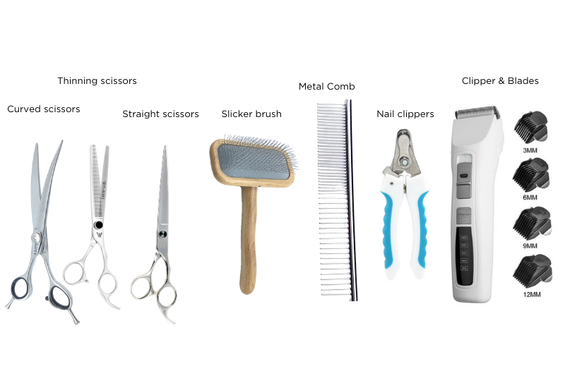 A collection of pet grooming tools to help you groom a dog at home. From left to right: curved scissors, thinning scissors, straight scissors, slicker brush with a wooden handle, metal comb, nail clippers with blue and white handles, and a clipper with detachable blades labeled 3mm, 6mm, 9mm, and 12mm.