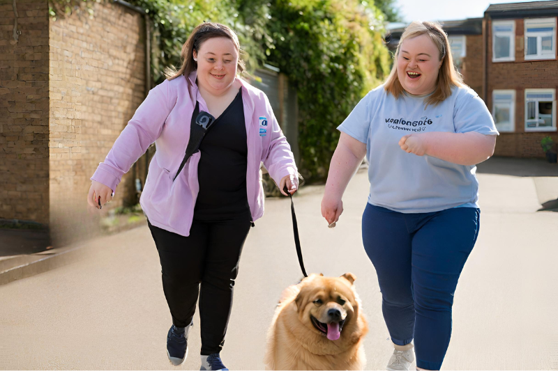 top ndis community and recreation activities and petcloud