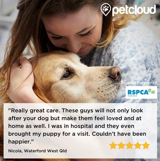 A woman lovingly embraces a golden retriever dog. Text overlay includes a review from Nicola praising PetCloud for their exceptional NDIS pet boarding service during her hospital stay. The review boasts a 5-star rating and highlights their partnership with RSPCA Queensland.