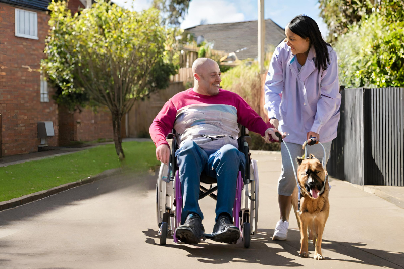 A man in a wheelchair and a woman walking a dog share a moment on a sunlit path in a residential area. The woman, smiling, looks at the man while holding the dog's leash. The man, also smiling, holds the woman's hand. This scene is a beautiful example of social and community participation amidst trees and houses. ndis funded activities near me, NDIS Social and Recreation Support