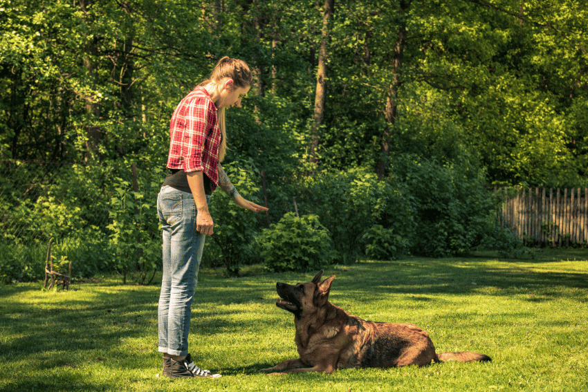 A person wearing a red plaid shirt, jeans, and sneakers stands on a grassy lawn in a forested area, holding out a hand towards a German Shepherd dog that is lying down on the grass, looking up attentively—a perfect moment for fun pet activity ideas.