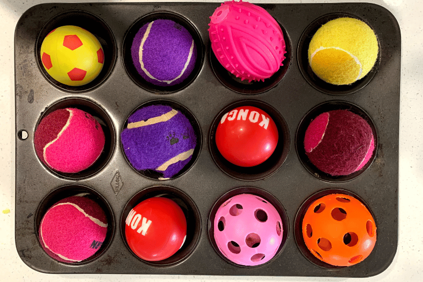 A muffin tin filled with an assortment of colourful dog toys, including various tennis balls, rubber balls, a pink spiked ball, and a perforated ball. This delightful display shows enrichment ideas for pets, with each toy arranged on top of a treat in its own muffin cup.