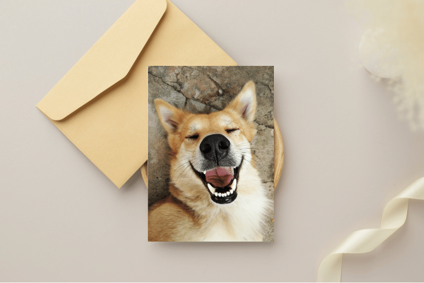 printed photo of a dog as a gift