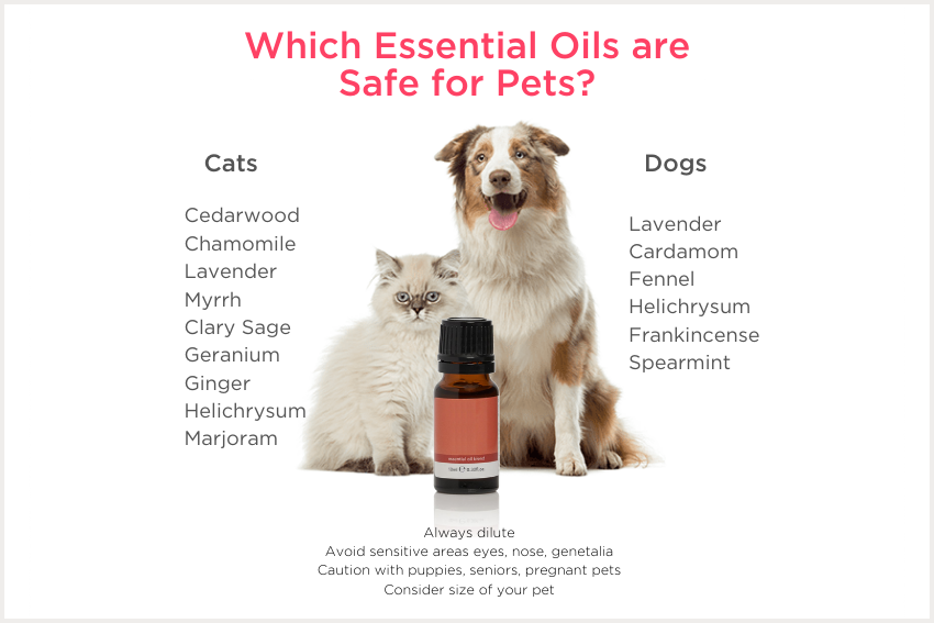 Essential oils safe for pets