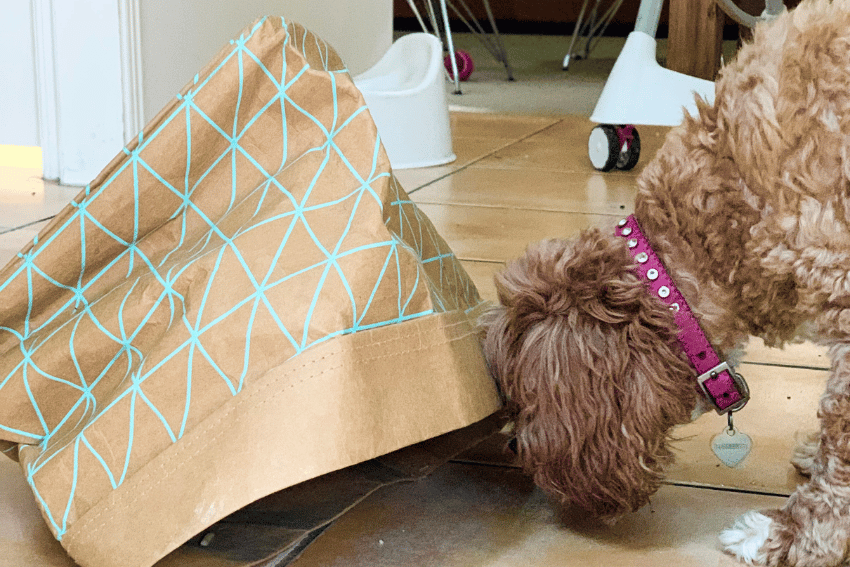 A curly-haired dog with a pink collar is curiously poking its head into a paper bag with a teal geometric pattern. The bag is lying on a tiled floor in a brightly lit room, offering one of the many fun pet activity ideas to keep your furry friend engaged and entertained.