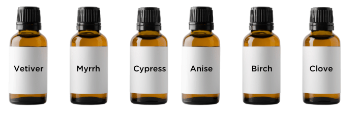 A row of six amber-colored essential oil bottles with black caps. Each bottle has a white label with the names: Vetiver, Myrrh, Cypress, Anise, Birch, Clove. The bottles are placed against a white background - perfect for setting a calming atmosphere while browsing fun pet activity ideas.