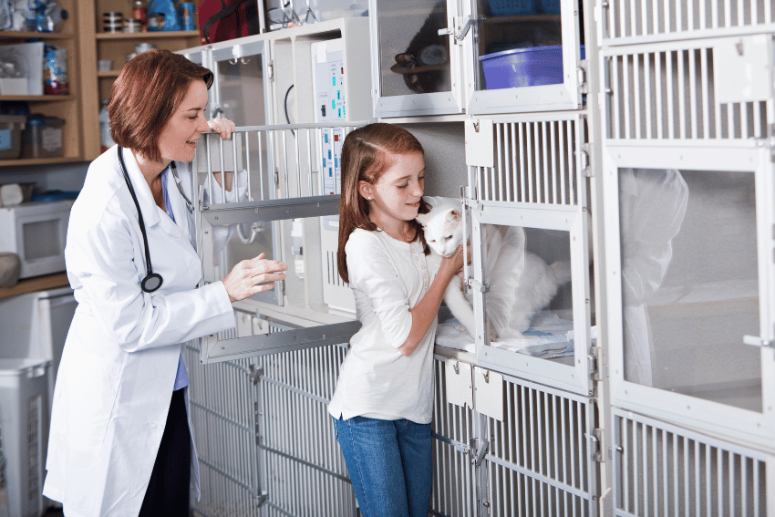 A veterinarian and a young girl interact with a white cat in a cage at a veterinary clinic. The girl, smiling, gently holds the cat, while the veterinarian stands beside her, also smiling. The background shows additional cages and pet boarding services supplies.