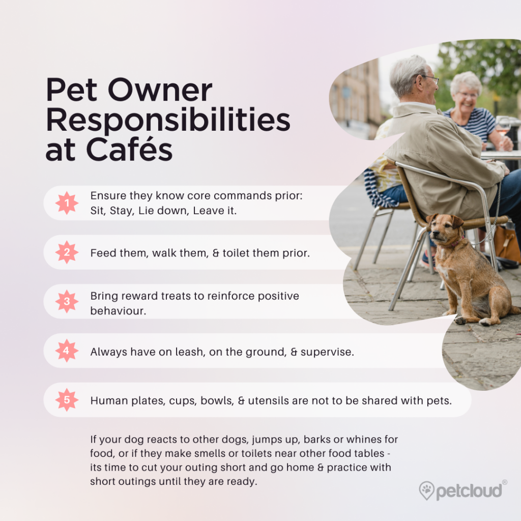A graphic titled "Pet Owner Responsibilities at Dog Friendly Cafés" depicts an outdoor café scene with a dog sitting calmly next to its owner. The checklist includes: teaching core commands, feeding and toileting pets, using rewards, keeping pets leashed, and managing pet items. At the bottom, it advises practicing outings if the pet misbehaves.
