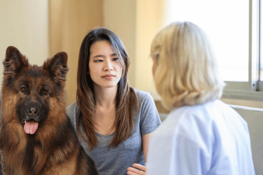 A woman with long dark hair sits in conversation with another woman who has blonde hair, discussing crisis support. A large German Shepherd dog, a symbol of pet care and comfort, is also present, sitting next to the dark-haired woman. They appear to be indoors, with a window in the background.