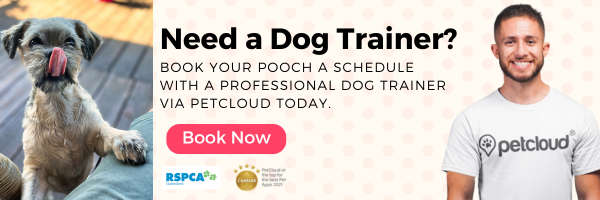 A dog with its tongue out sits playfully. Text reads, "Need a Dog Trainer to curb dog begging behavior? Book your pooch a schedule with a professional trainer via PetCloud today." A "Book Now" button is visible, along with PetCloud and award logos.