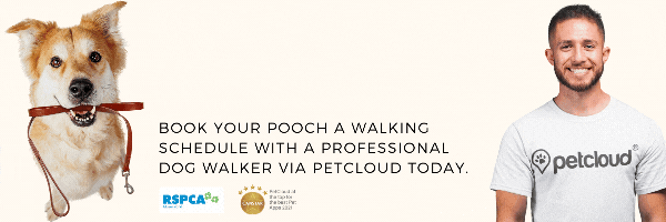 A happy dog stands in the grass, holding a leash in its mouth next to a smiling man wearing a PetCloud t-shirt. Text reads, "Book your pooch a walking schedule with a professional dog walker via PetCloud today." RSPCA and award logos are displayed below.