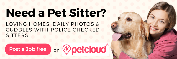A smiling woman hugs a golden retriever. Text reads: "Need a Pet Sitter? Loving homes, daily photos & cuddles with police checked sitters. Ask about Neem Oil for Dogs." A pink button says, "Post a Job free on petcloud.
