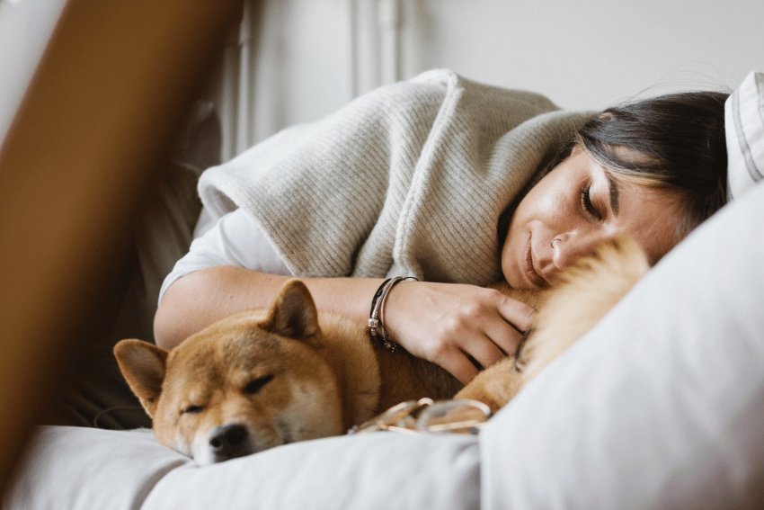 A woman is lying on a bed, wrapped in a blanket, with her head resting on a pillow. Embracing the Shiba Inu dog beside her, she finds comfort and warmth in their animal companionship, creating a cozy and peaceful scene.