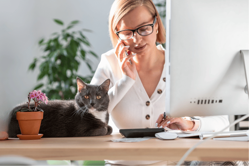 A woman wearing glasses works at her desk, juggling phone calls and keystrokes. Her gray cat lounges nearby, a perfect companion amidst her bustling tasks. As she discusses pet boarding options in Sydney, the scene is completed by a small potted plant and a dimly blurred backdrop of greenery.