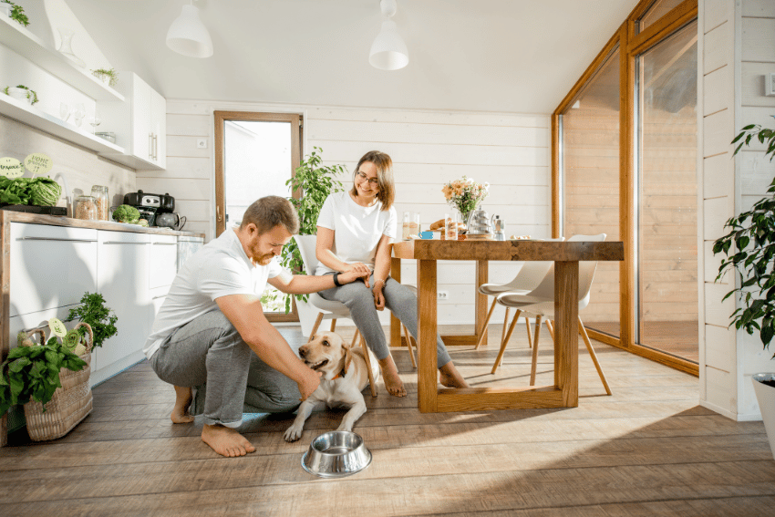 A man and woman are in a bright kitchen with plants, discussing affordable long-term pet boarding on the Gold Coast while petting a dog near a metal bowl. The woman sits at a dining table with flowers, surrounded by white shelves and large windows allowing natural light to flood in. 