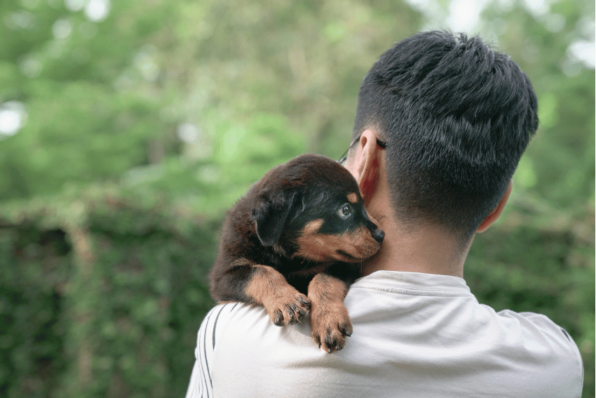 A person with short dark hair cradles a small black and brown puppy, who gazes curiously to the side. In the lush green outdoor area, it's an ideal moment for learning how to socialize a puppy before vaccinations are complete.
