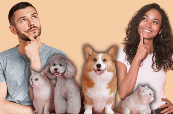 A man and woman stand thoughtfully with their fingers on their chins, perhaps contemplating how to set up a dog walking and pet sitting business. In front of them are a poodle, a corgi, and two cats against a soft peach background.