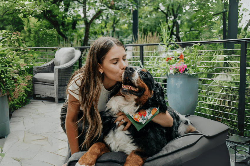 A woman kisses a large, fluffy dog wearing a bandana. On the patio with outdoor furniture, surrounded by lush greenery and potted plants, their peaceful scene embodies the caring spirit of the best dog boarding in Sydney.
