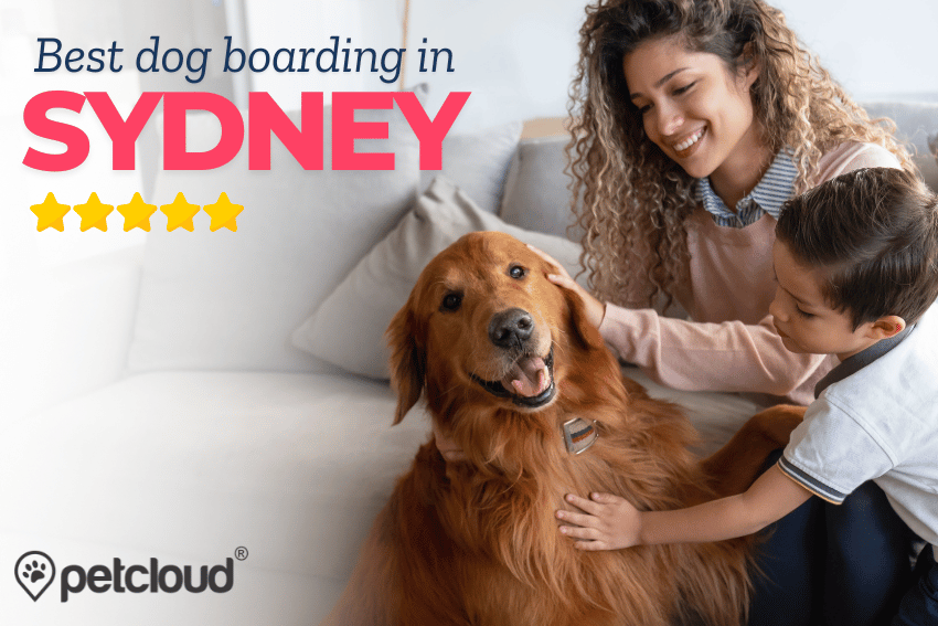 A happy golden retriever is affectionately petted by a smiling woman and child. The text reads "Best dog boarding in Sydney with PetCloud" and features a five-star rating. The PetCloud logo is in the corner.