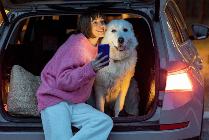 A woman in a pink sweater and white pants sits in the open trunk of a car, smiling while holding a phone. Beside her is a large, fluffy white dog who just returned from the best dog boarding in Sydney. The car's tail lights glow softly, and a woven basket rests nearby.