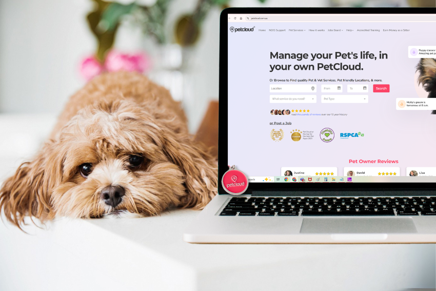 A fluffy brown and white dog rests its head on a white surface next to an open laptop displaying the PetCloud website homepage, perfect for those looking to Register Your Dog Canberra and manage all your pet care needs.