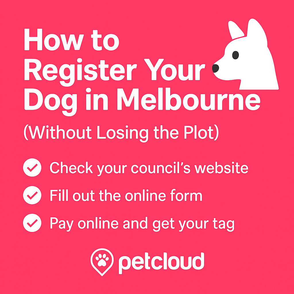 Bright pink graphic with a white dog illustration. Text: "How to register your dog Melbourne (Without Losing the Plot) - Check your council’s website, fill out the online form, pay online and get your tag." PetCloud logo at the bottom.