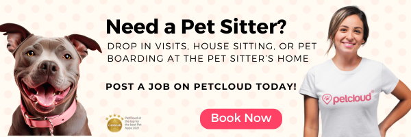 Happy brown dog next to a smiling woman in a "petcloud" shirt, with text offering pet sitting services and highlighting the importance of briefing pet carers. Pink "Book Now" button. Light pink polka dot background.