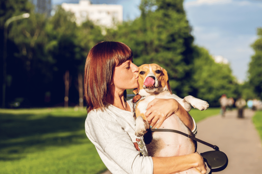 A woman with brown hair kisses her beagle at a sunny Sydney park. From the dog’s perspective, joy is clear as it sticks out its tongue, embraced by love and the comfort she shares—like luxury dog boarding beneath tree-lined walkways.