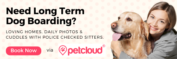 A woman smiles while hugging a golden retriever. Text: "Need long-term dog boarding? Enjoy daily photos, cuddles, and police-checked sitters. Book now via Petcloud and experience the dog boarding pros and cons firsthand!" Pink and white background with paw print logo.