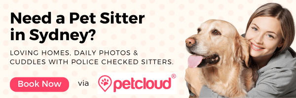 A smiling woman hugs a golden retriever against a light background with polka dots. Text reads: "Need luxury dog boarding Sydney? Loving homes, daily photos & cuddles with police checked sitters." A pink "Book Now" button and PetCloud logo are shown.