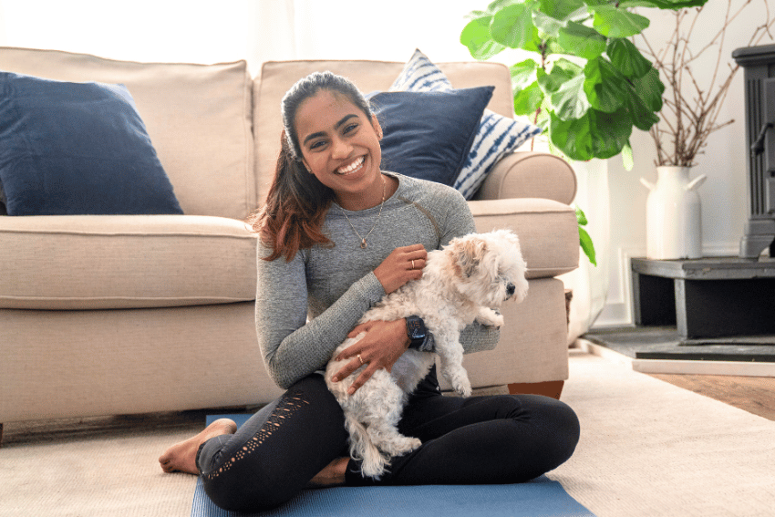 best dog boarding brisbane, affordable dog boarding, petcloud, hanrob pet hotel