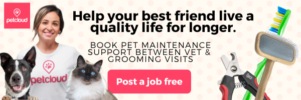 A smiling woman in a "petcloud" shirt stands with a dog and cat. Pet grooming tools and a "Post a job free" button are shown. Text highlights booking affordable pet care between vet visits, helping you save on vet prices.