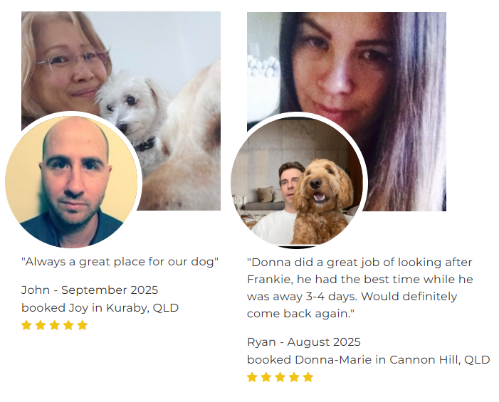 best dog boarding brisbane, affordable dog boarding, petcloud
