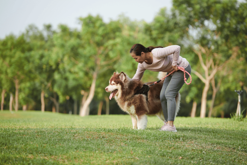 Stand side-on instead of head-on can avoid dog bite and dog attack as a pet sitter