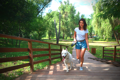 A woman in a white shirt and denim shorts walks a white dog on a leash across a wooden bridge in a lush, green park in Australia, showcasing the joys of Dog Walking Services on a sunny day.