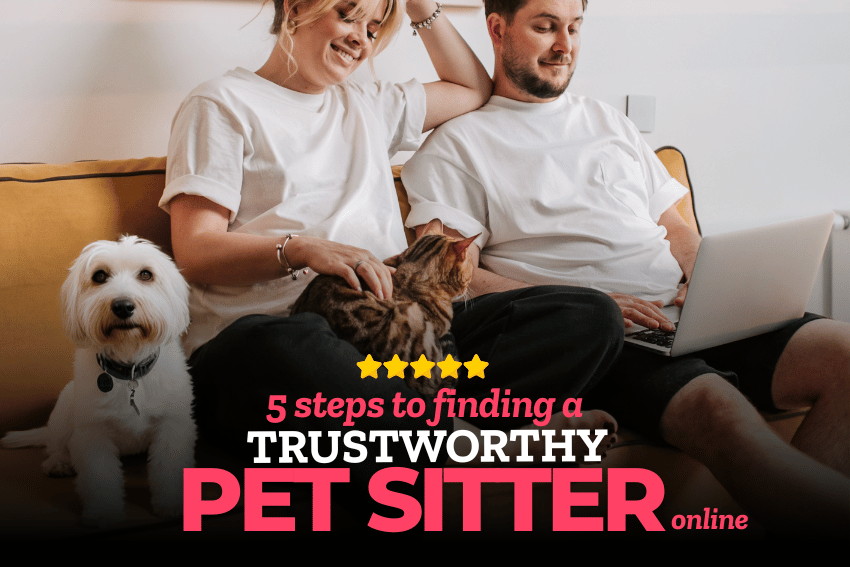 A woman and man sit on a couch with a laptop. A small white dog and a tabby cat are with them. Text reads: "5 steps to finding a trustworthy pet sitter online.