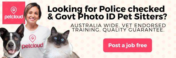 Banner ad for PetCloud featuring a smiling woman in a PetCloud shirt, a dog, and a cat. The text asks if you need a trusted pet sitter with police-checked, government photo ID. "Post a job free" button included.