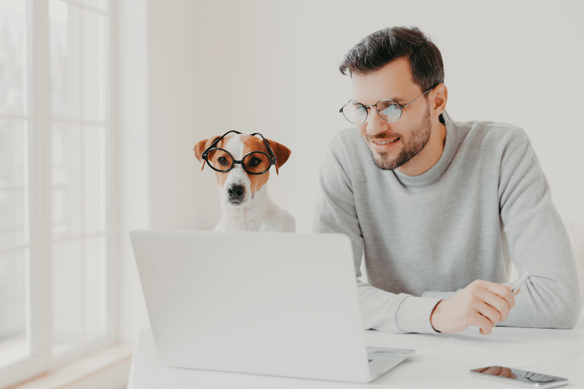 How to Find a Pet Sitter in Australia: A Step-by-Step Guide for First-Time Pet Owners